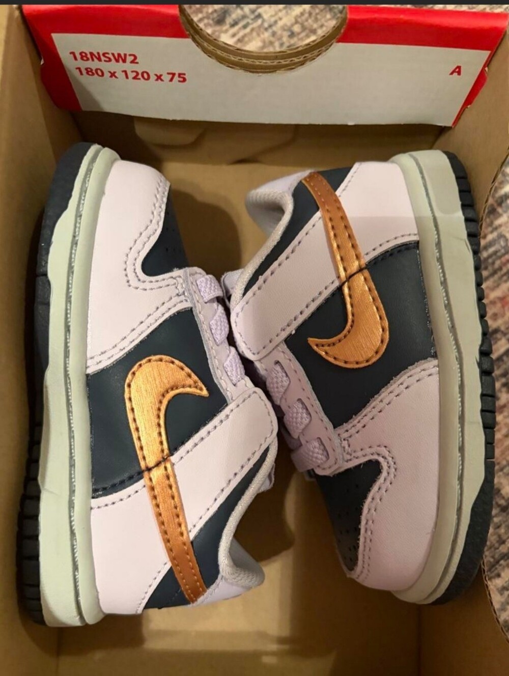 Baby Nike Dunk Low Shoes